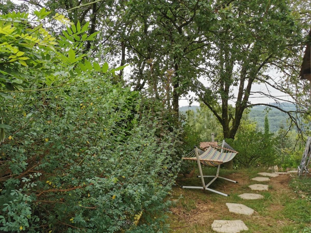 Chambre Chez L'Habitant A La Campagne Sidobre Burlats Bagian luar foto